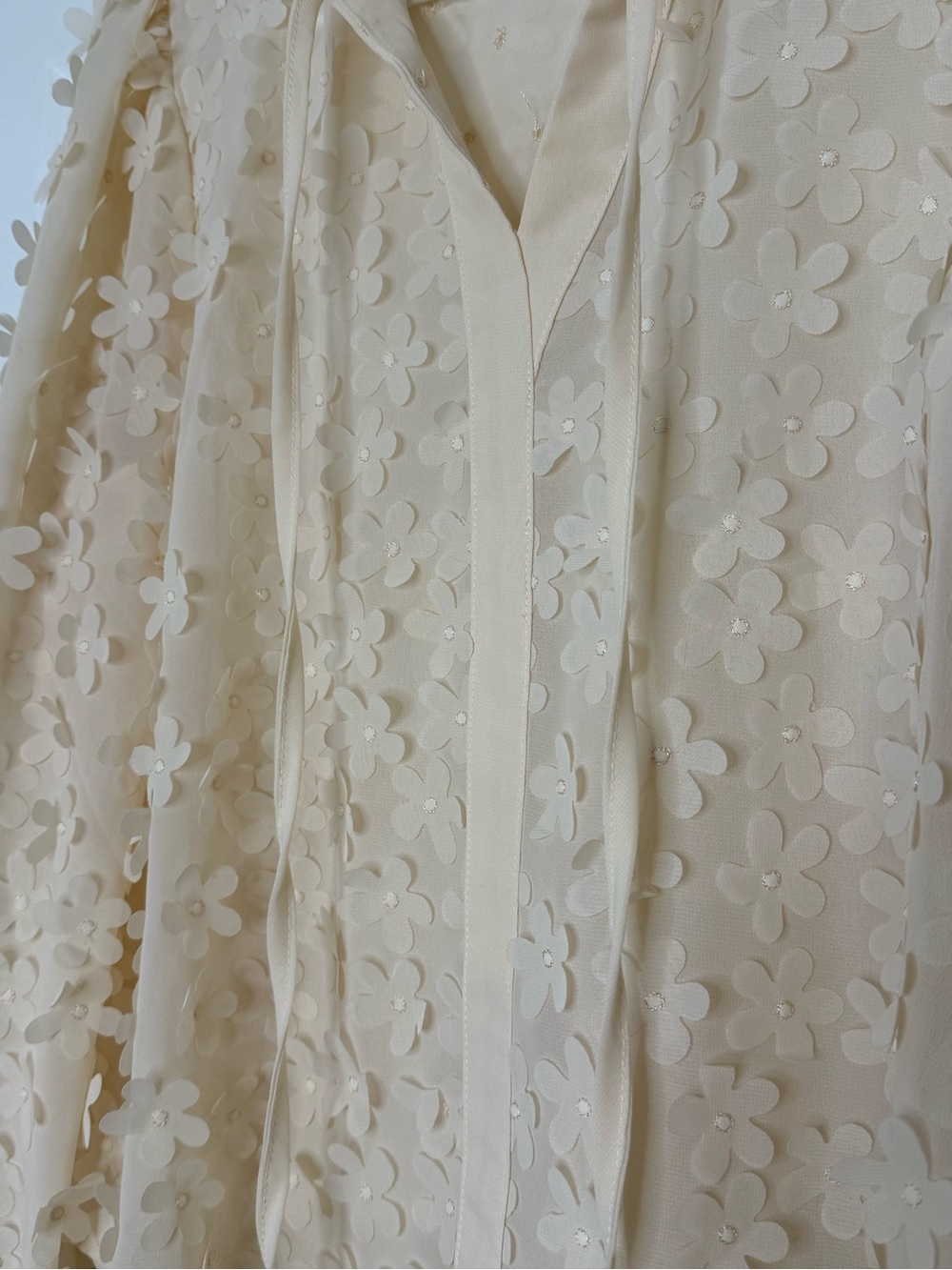 Cream Floral Appliqué Sheer Blouse - Picture 4 of 6